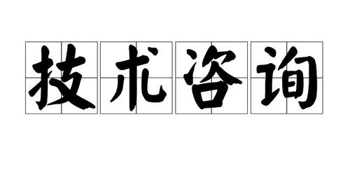 技術(shù)咨詢 加速創(chuàng)新與風(fēng)險(xiǎn)控制的橋梁